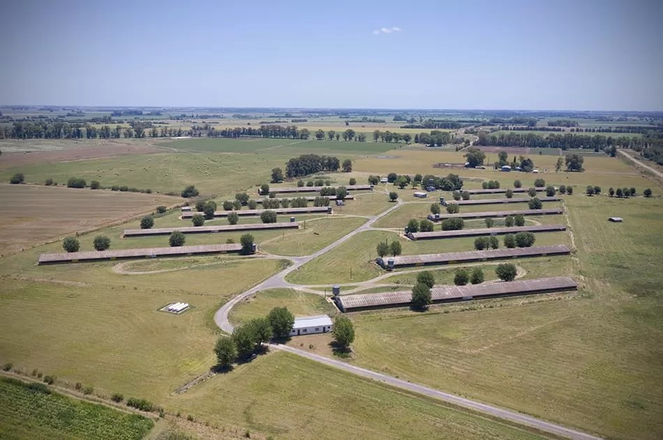 Los Robles grow-out farm