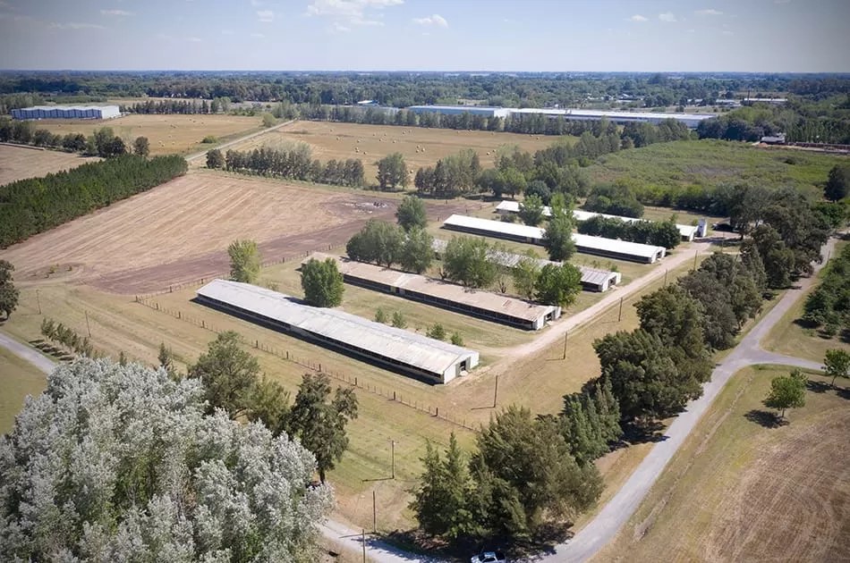 Gaona breeder farm