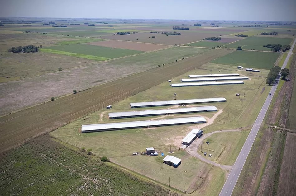 Guerrico breeder farm