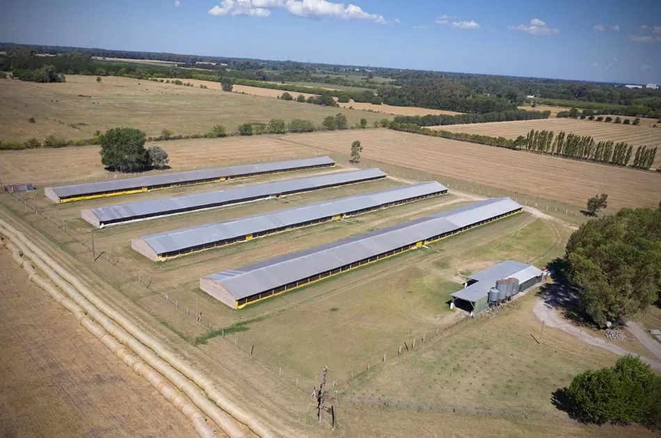 Gaona breeder farm