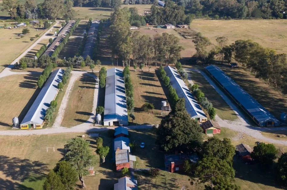La Recordación grow-out farm