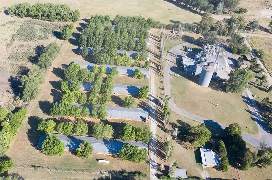 Los Álamos grow-out farm